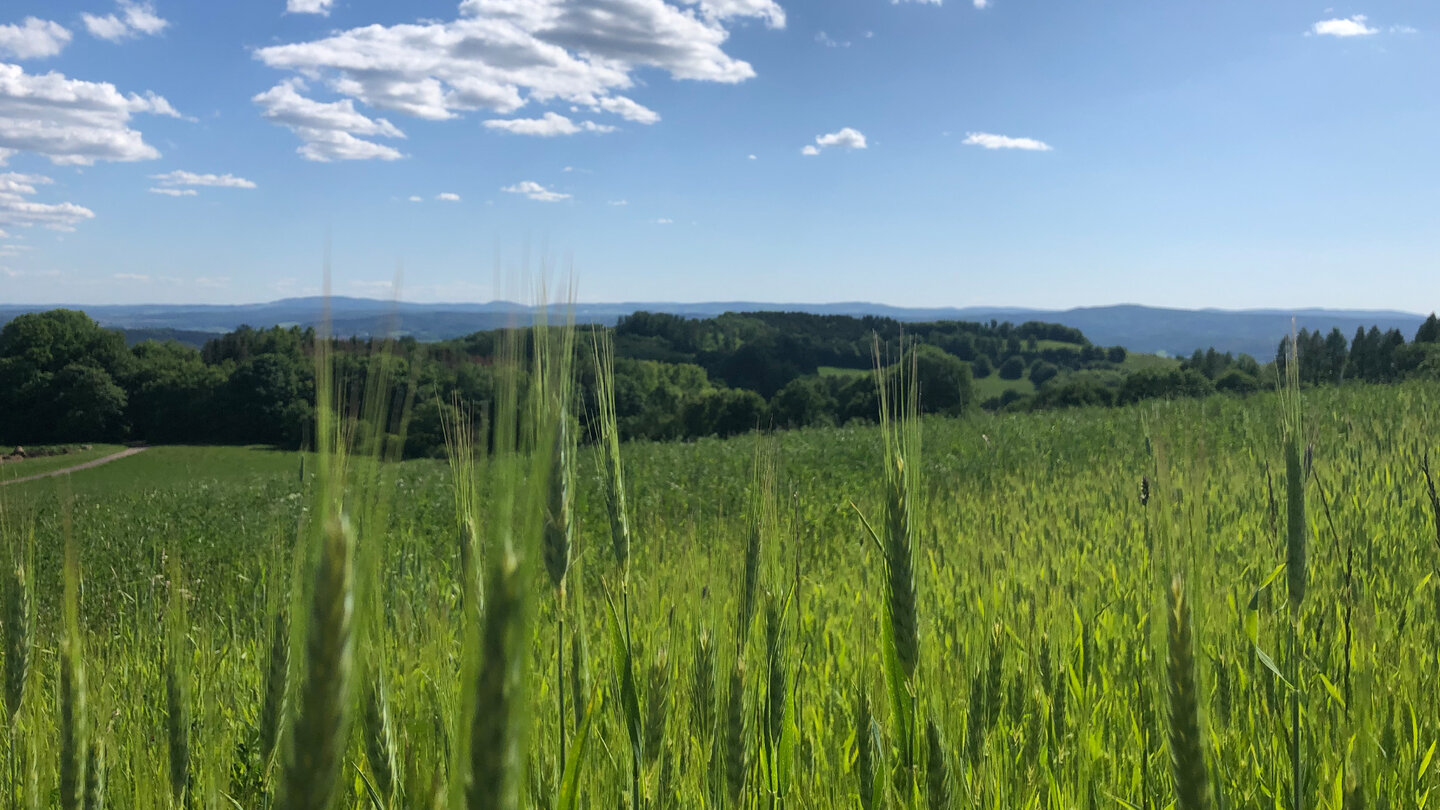 schönste Ausblicke über Süd-Thüringen Ausblick über Süd-Thüringen
