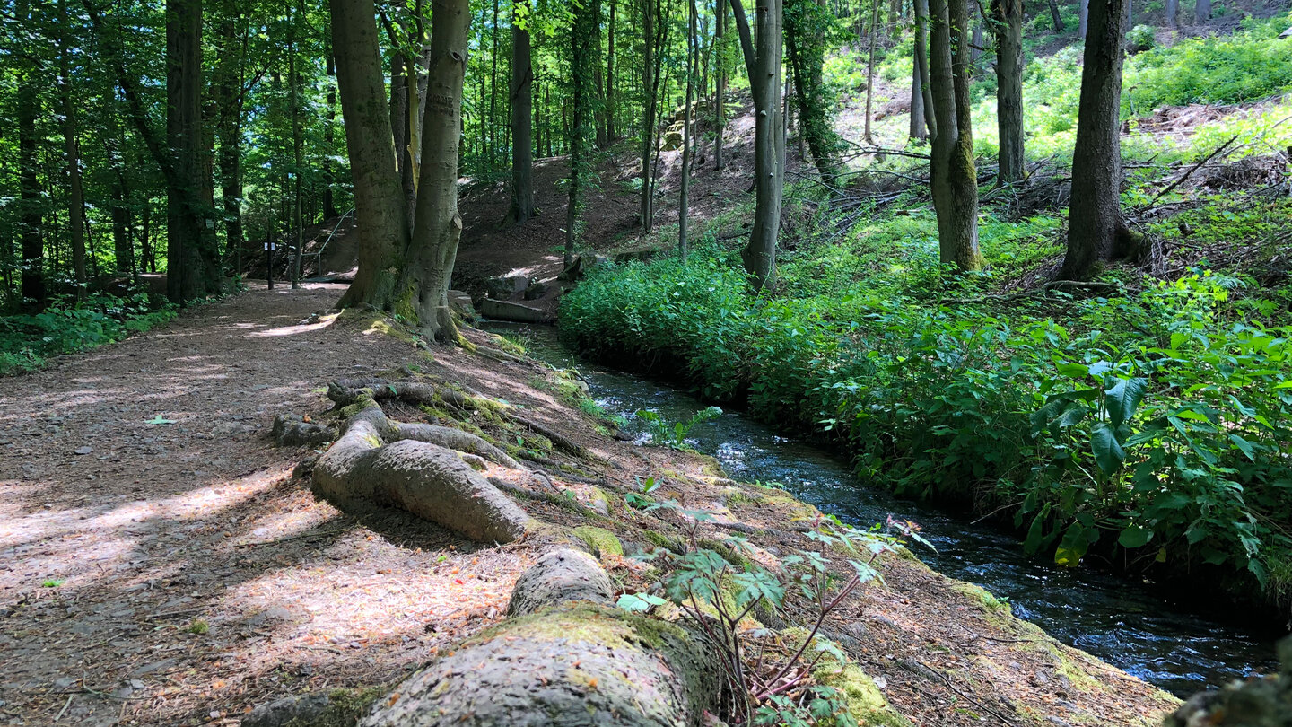 der Wanderweg am Wasserfallgraben Wanderweg am Wasserfallgraben