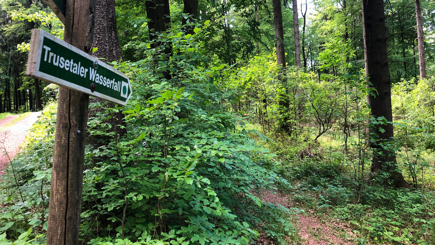 Am Wanderweg zum Trusetaler Wasserfall Am Wanderweg zum Trusetaler Wasserfall