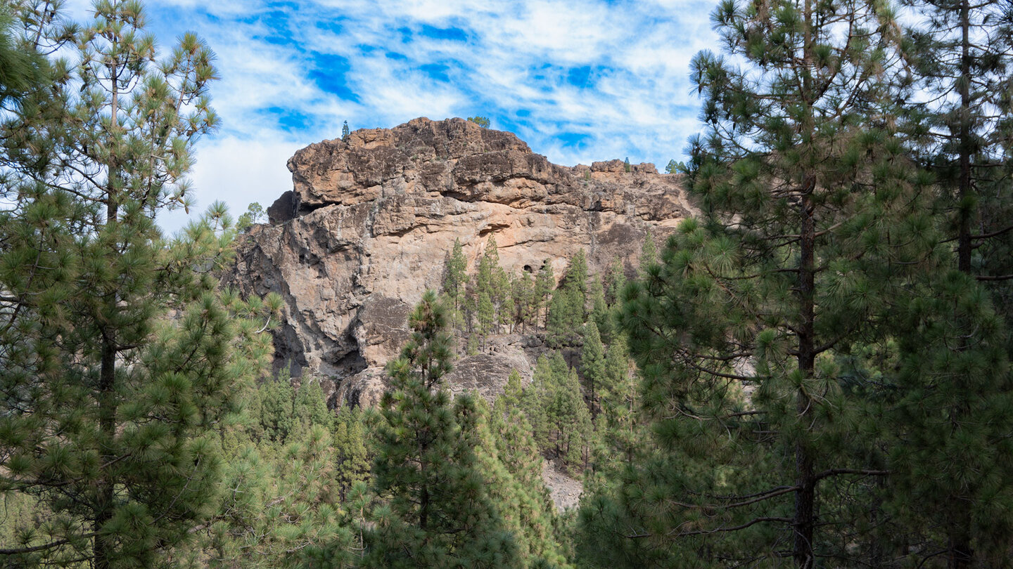 Ausblick auf Felsklippen am Wanderweg durch Kiefernwald