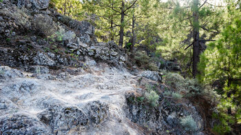 Wanderung durch Kiefernwald Richtung La Culata