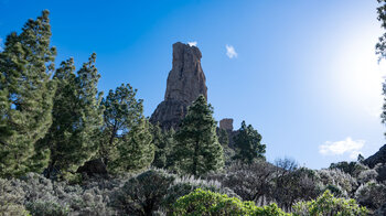 der Roque Nublo bei der Umwanderung des Plateaus