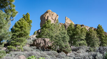 die Felsen Roque Nublo und Rana oberhalb des Kiefernwalds