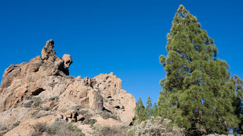 erodiertes Gestein beim Roque de San José