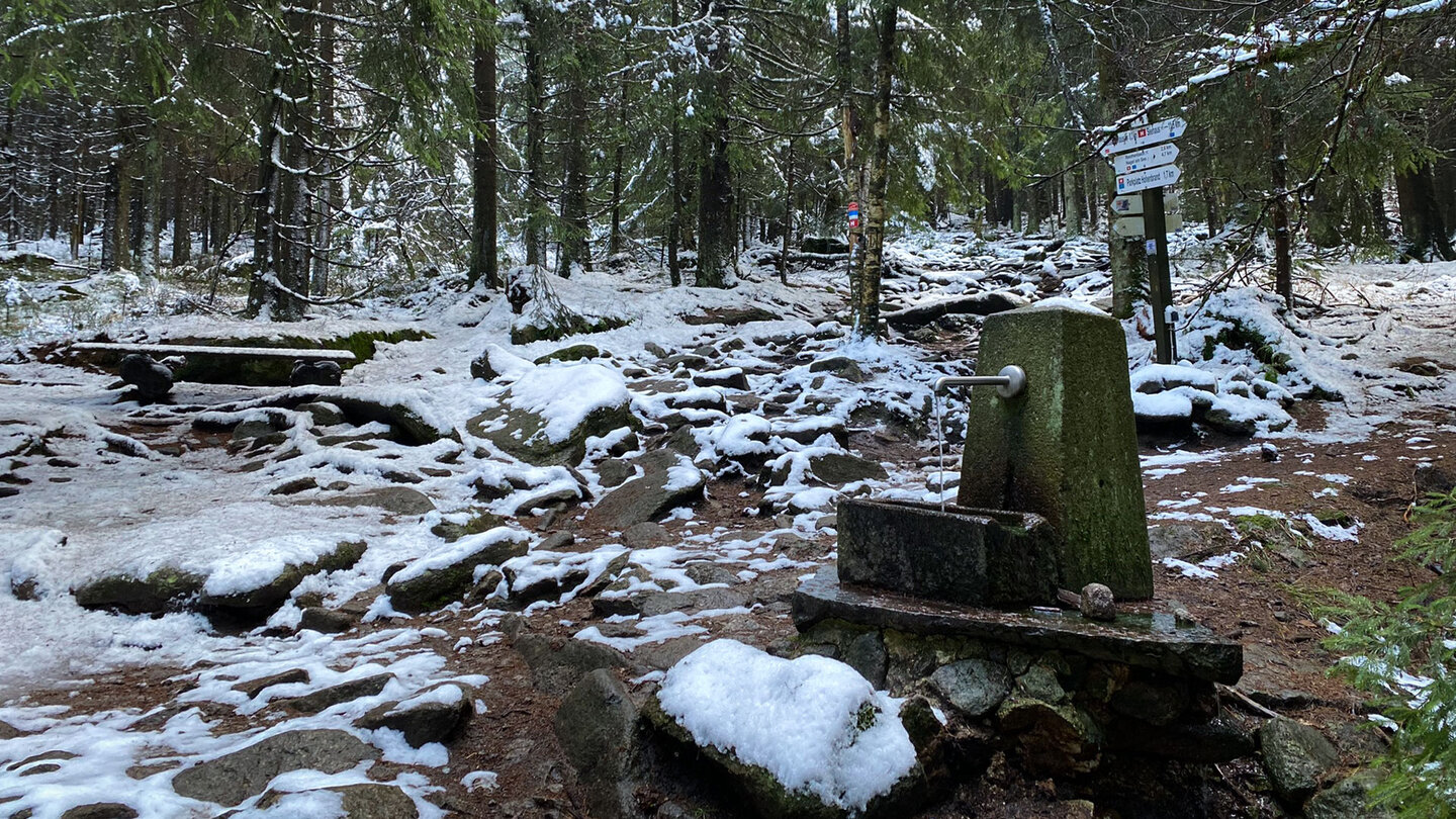 kleiner Brunnen vor dem Gipfel der Kösseine