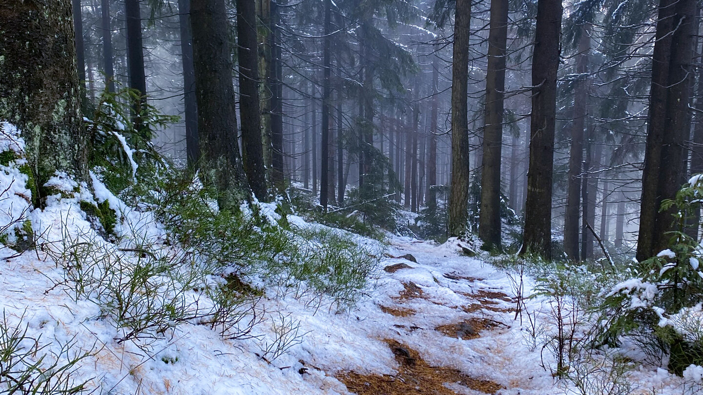 Abstieg von der Kösseine durch verschneiten Wald