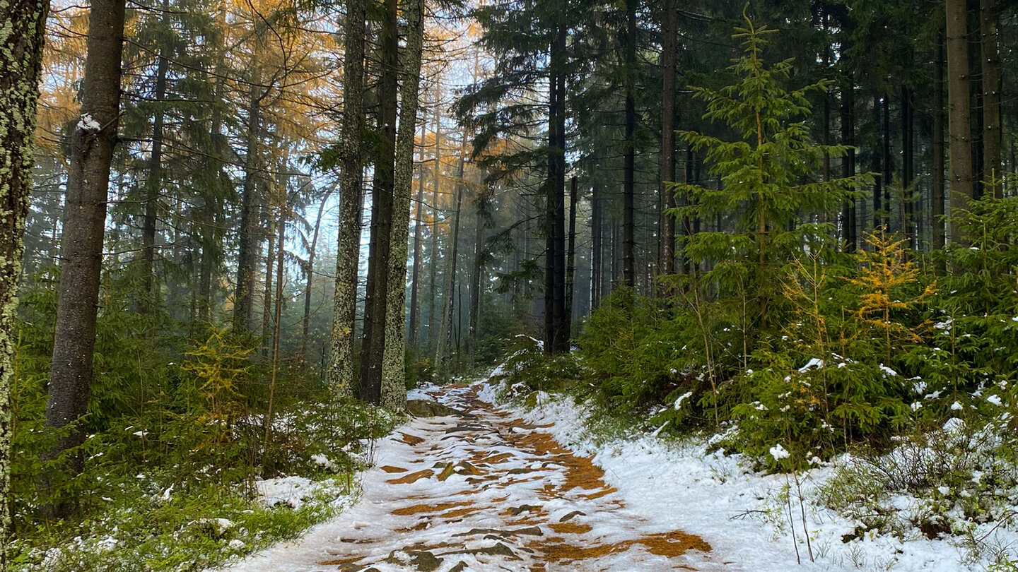 verschneite Waldpfade zu den Burgsteinfelsen