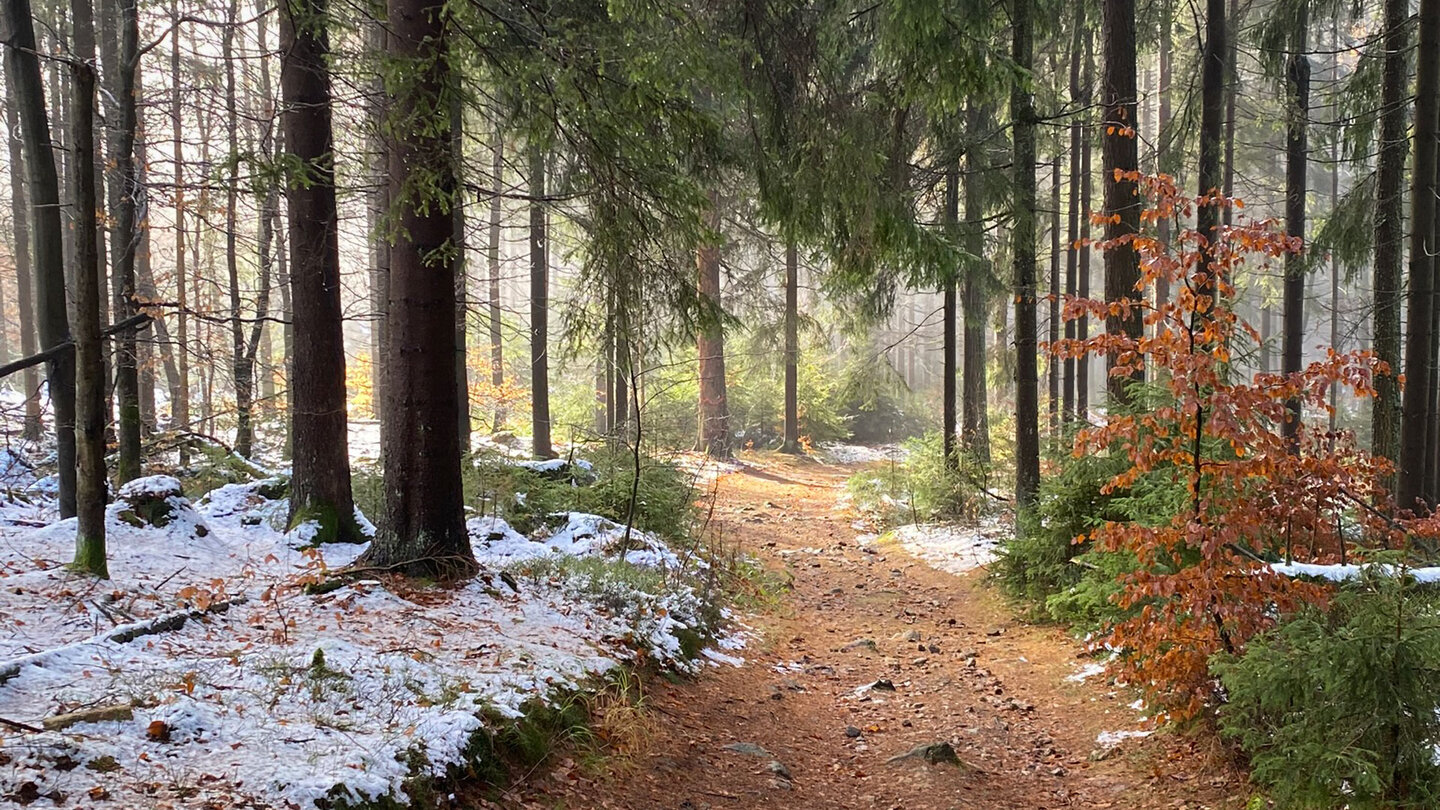 die Wanderwege werden breiter