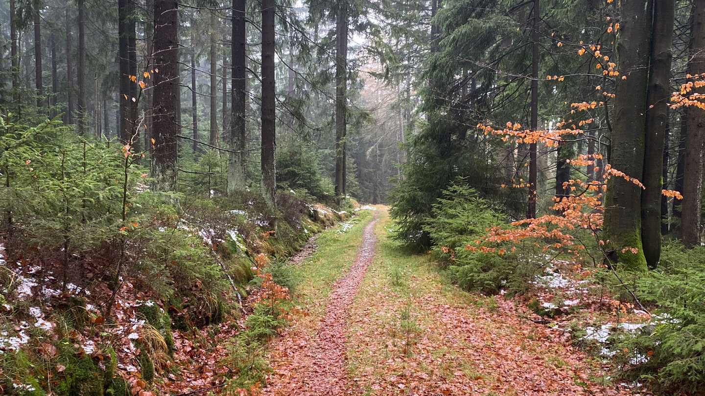 Rückweg nach Reichenbach