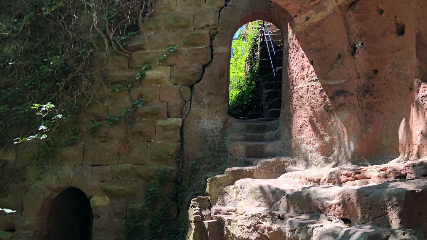 die Ruine der Burg Altwindstein