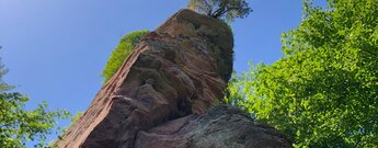 der hohe Burgfels der Ruine Altwindstein