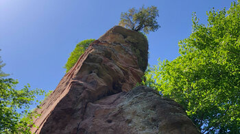 der hohe Burgfels der Ruine Altwindstein