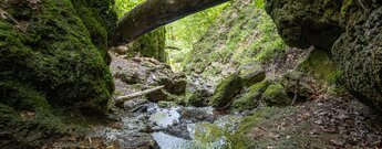zwischen urigem Felsgestein fließt das Wasser am Sturzdobel