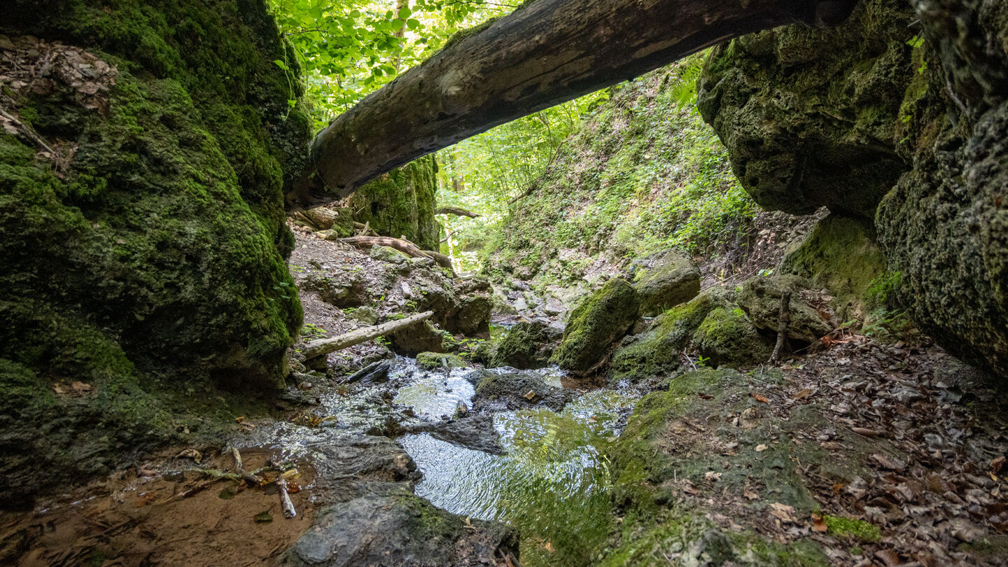 zwischen urigem Felsgestein fließt das Wasser am Sturzdobel