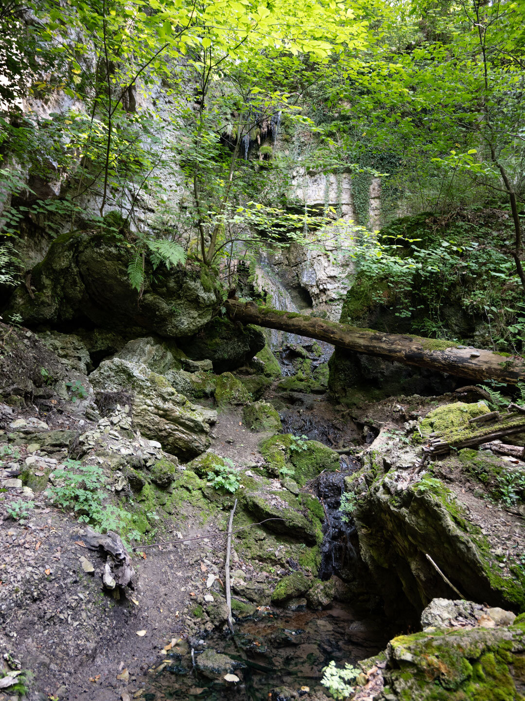 Blick zum Sturzdobel-Wasserfall