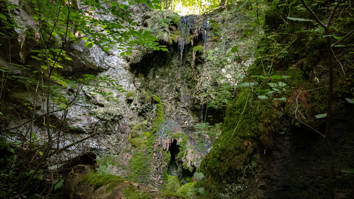 moosbewachsene Muschelkalkwände am Sturzdobel-Wasserfall