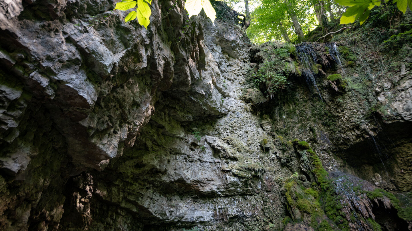der Sturzdobel-Wasserfall in den Wutachflühen stürzt senkrecht über die Felskanten