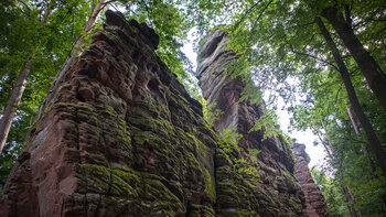 Buntsandsteinfelsen der Fladensteine im Dahner Felsenland