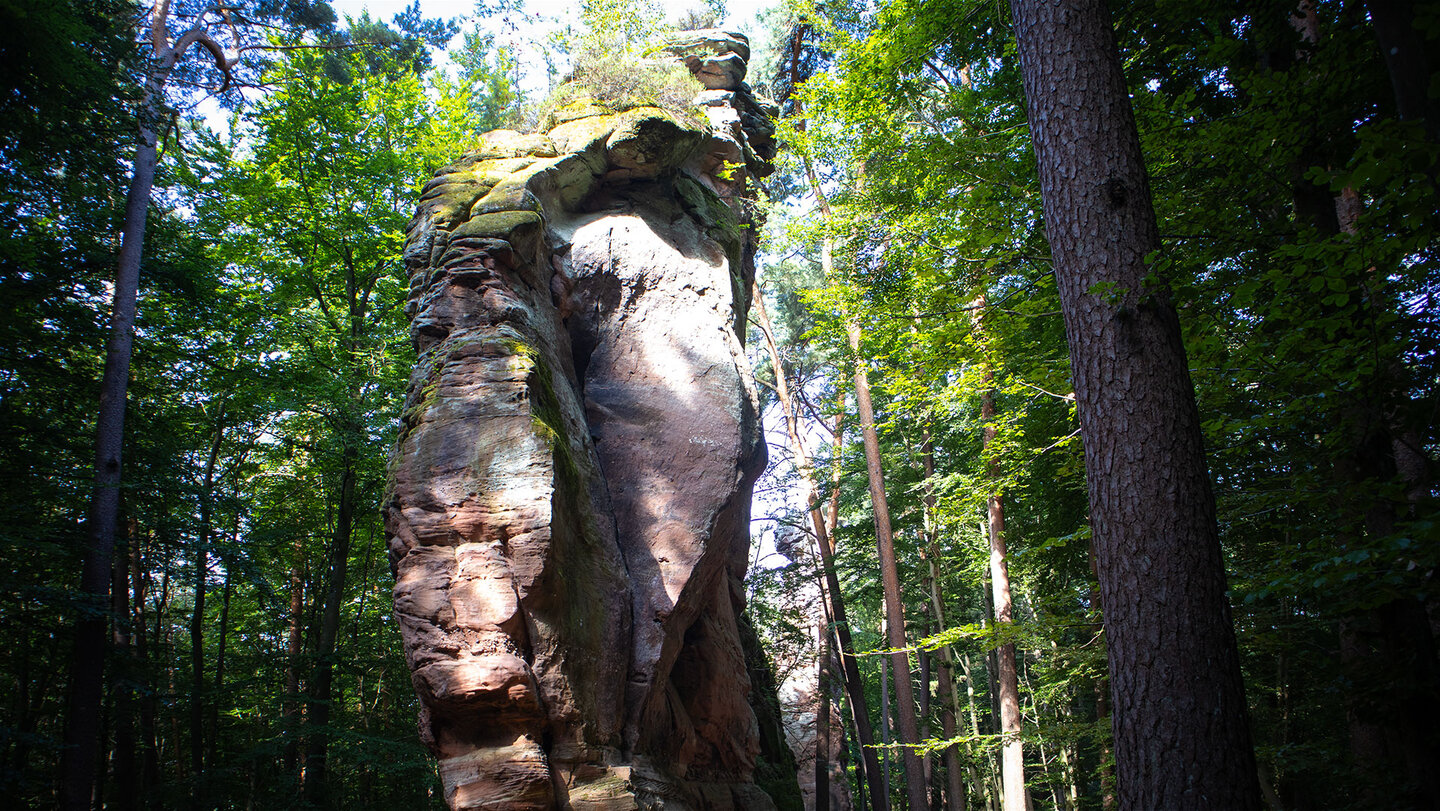 die beeindruckenden Felstürme der Fladensteine im Dahner Felsenland die Felstürme der Fladensteine im Dahner Felsenland
