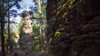 Wanderung entlang der Buntsandsteinformationen der Fladensteine
