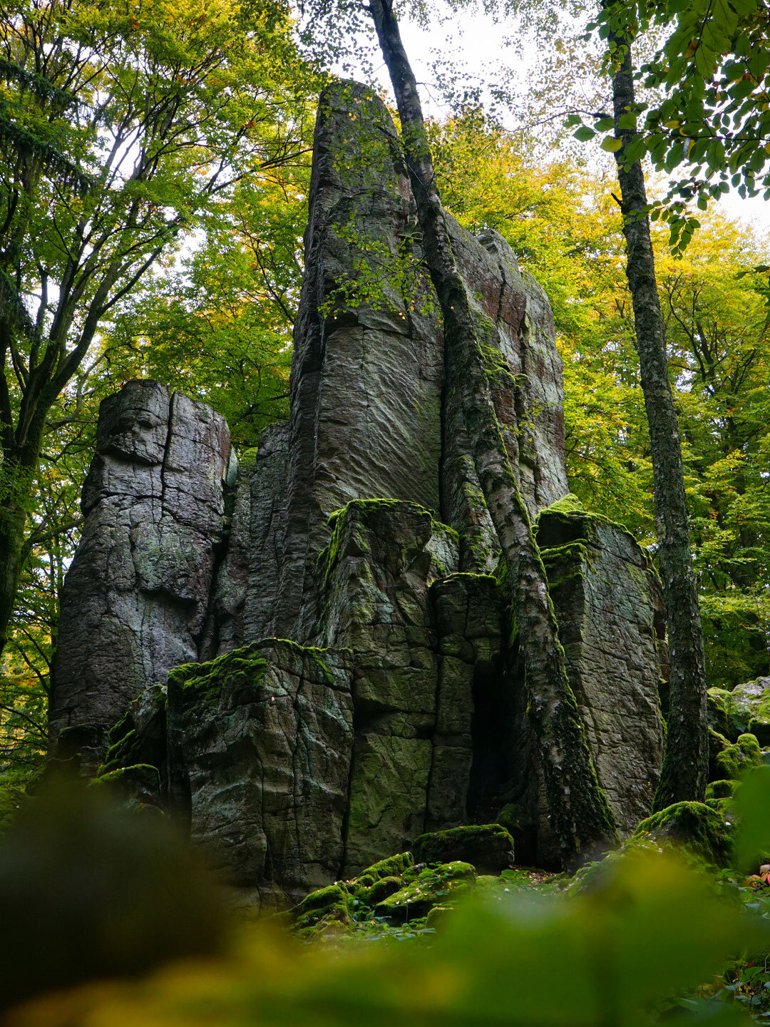 Phonolithsäulen mitten im Wald bei der Steinwand