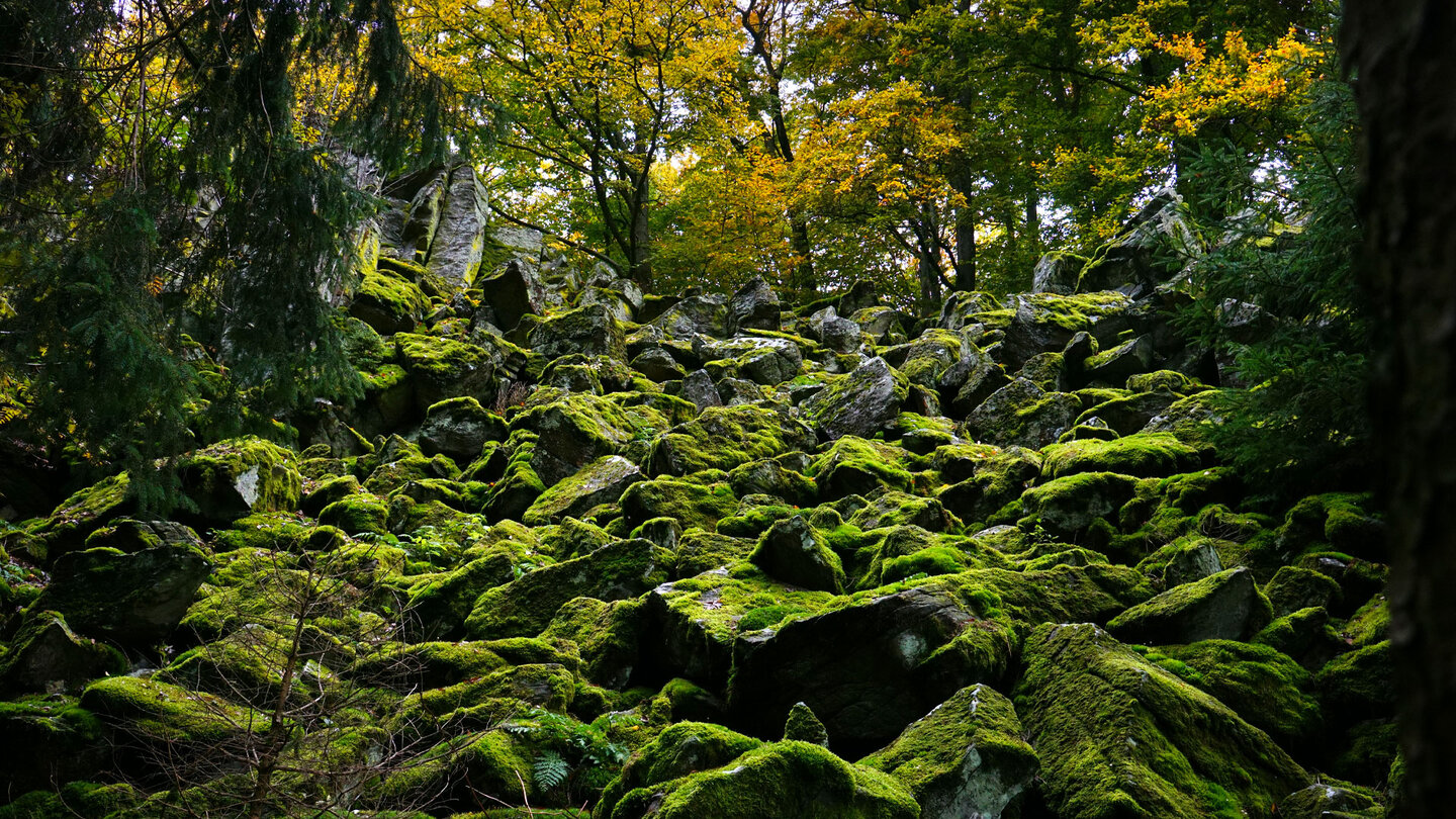 Bruchstücke von Phonolithfelsen