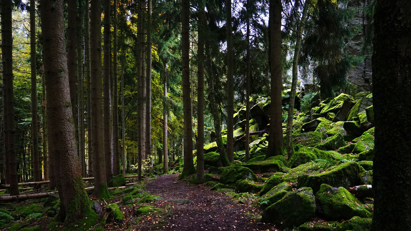 Wanderweg an der Steinwand bei Poppenhausen in der Rhön