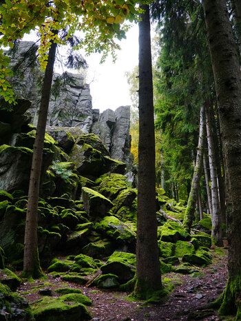Wanderpfad entlang der Steinwand