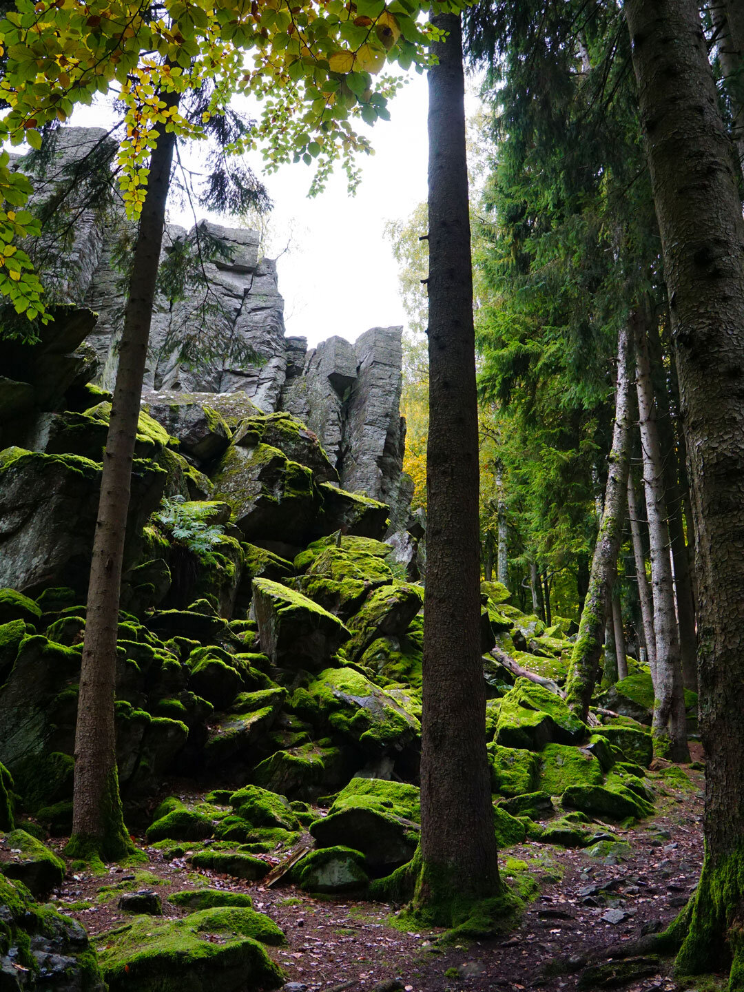 Wanderpfad entlang der Steinwand