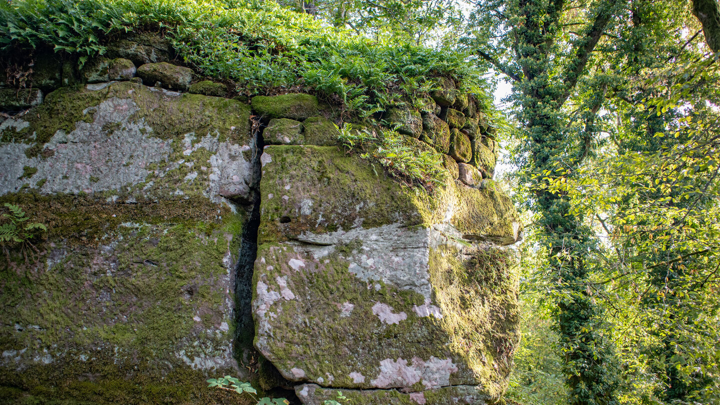 Mauerreste am hinteren Sandsteinriff der Burg Ramstein Mauerreste am Sandsteinriff der Burg Ramstein
