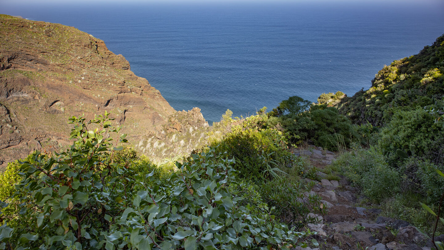 der Wanderweg PR LP 9.1 vom Barranco de los Hombres nach Franceses