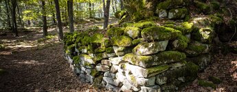 Die bemoosten Mauerreste der Fliehburg Heidenschuh.