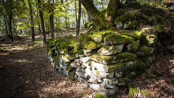 Die bemoosten Mauerreste der Fliehburg Heidenschuh.