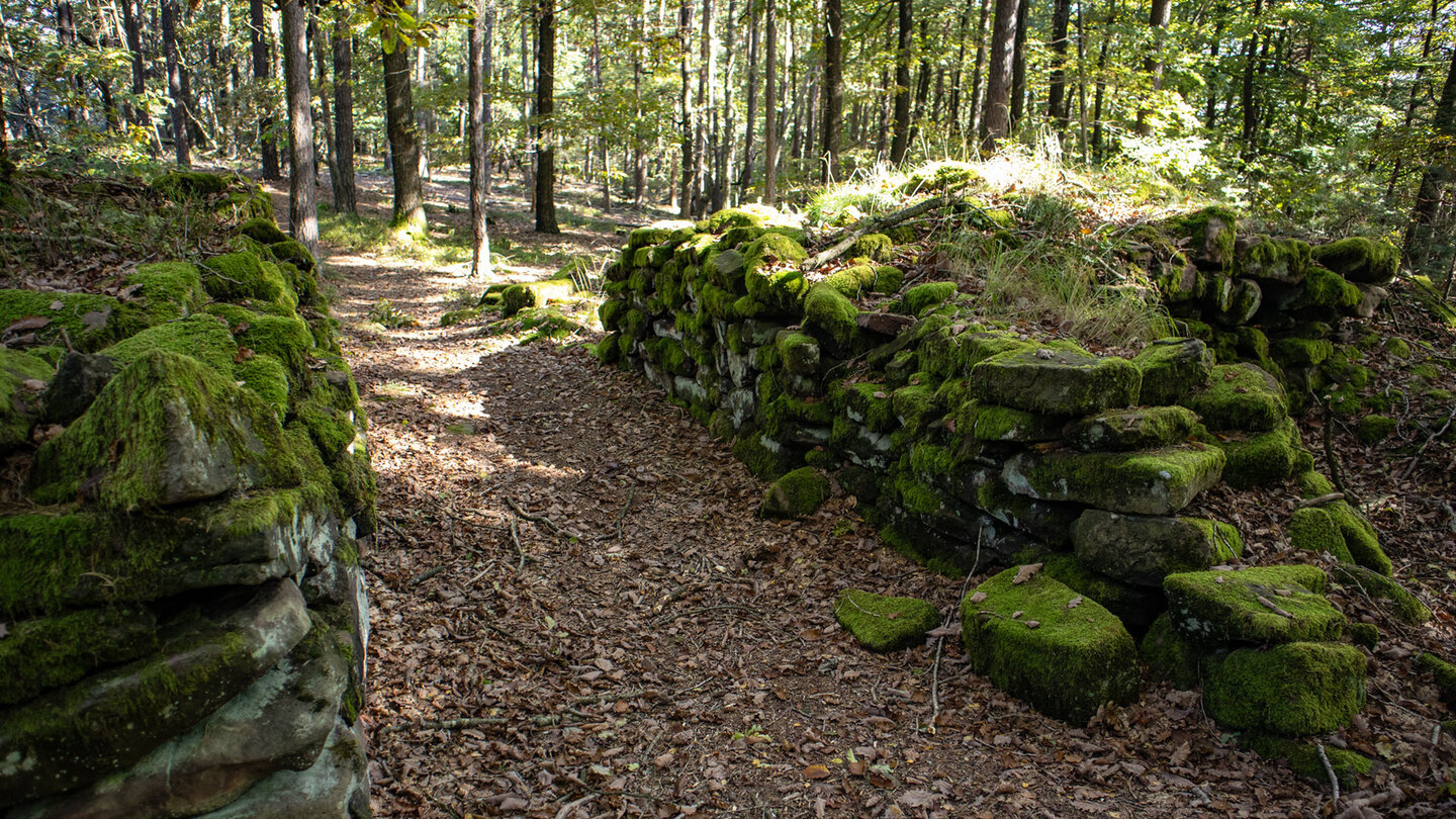 Das gut erhaltene innere Tor der Abschnittsmauer am Heidenschuh auf dem Treutelsberg.