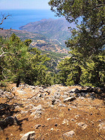 Wanderroute durch die Steinwälder mit Blicken bis zur Küste Kretas
