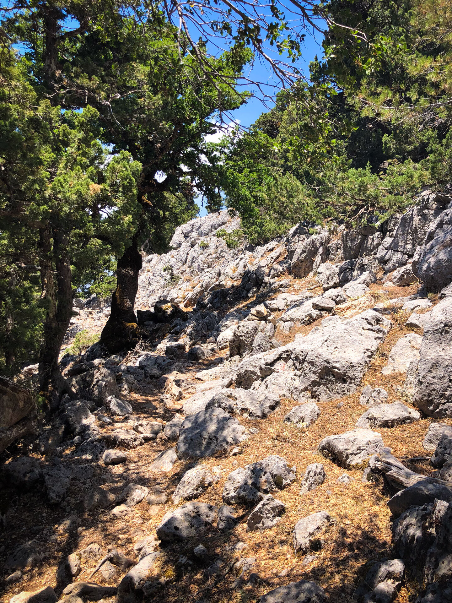 felsiger Wanderweg durch die Weißen Berge Kretas Wanderroute durch die Weißen Berge Kretas