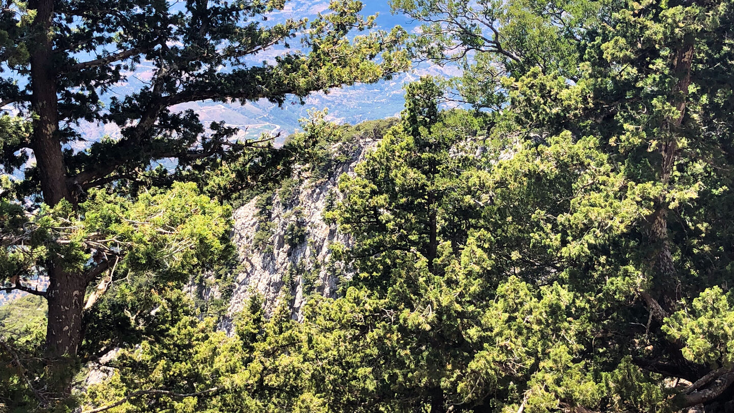 steil abfallende Schluchten auf der Wanderung entlang des Psiláfi Schluchten auf der Wanderung entlang des Psiláfi