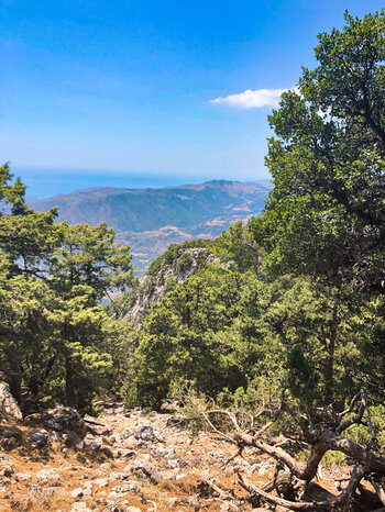 Panorama bis zum Mittelmeer von den Weißen Bergen
