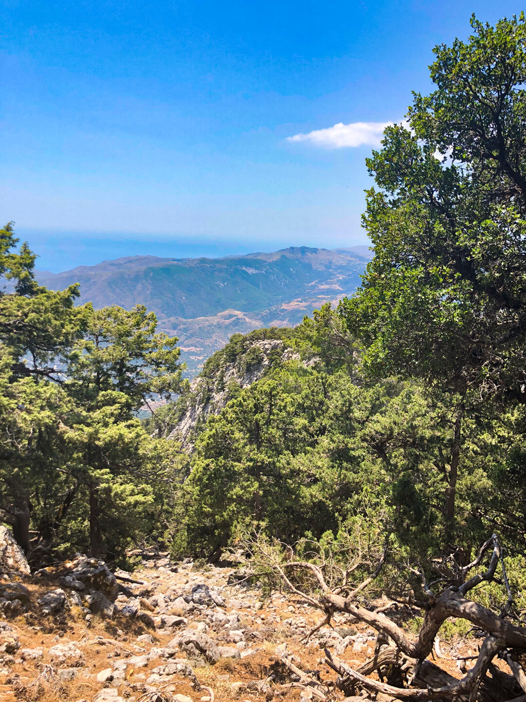 von den Weißen Bergen Kretas eröffnet sich ein Panorama bis zum Mittelmeer Panorama bis zum Mittelmeer von den Weißen Bergen