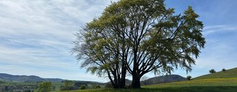 das Biosphärenreservat Rhön besticht mit einzigartigen Landschaften