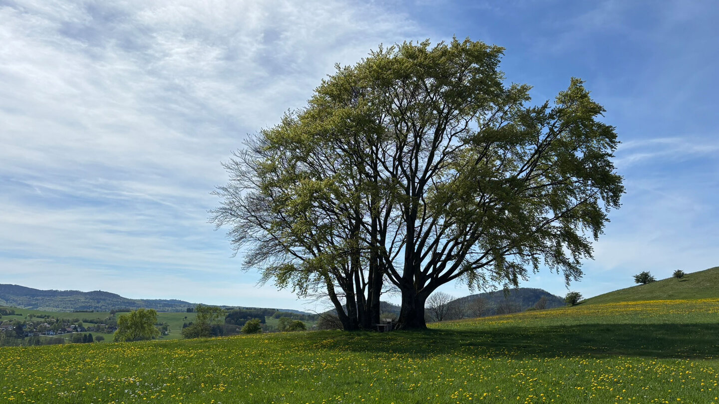 das Biosphärenreservat Rhön besticht durch einzigartige Landschaften das Biosphärenreservat Rhön besticht mit einzigartigen Landschaften