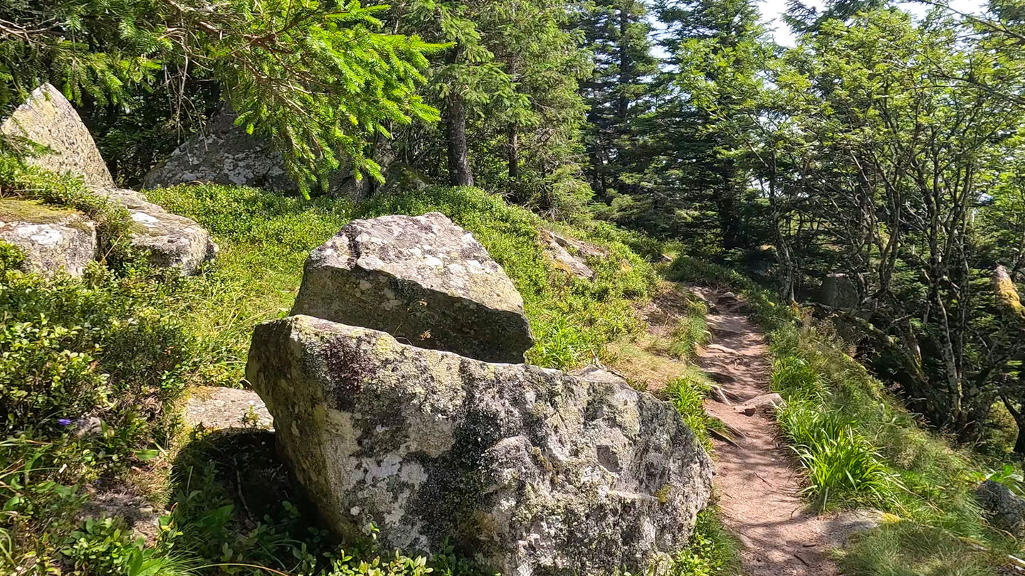 Wanderpfad zu den Spitzfelsen Wanderpfad zu den Spitzfelsen
