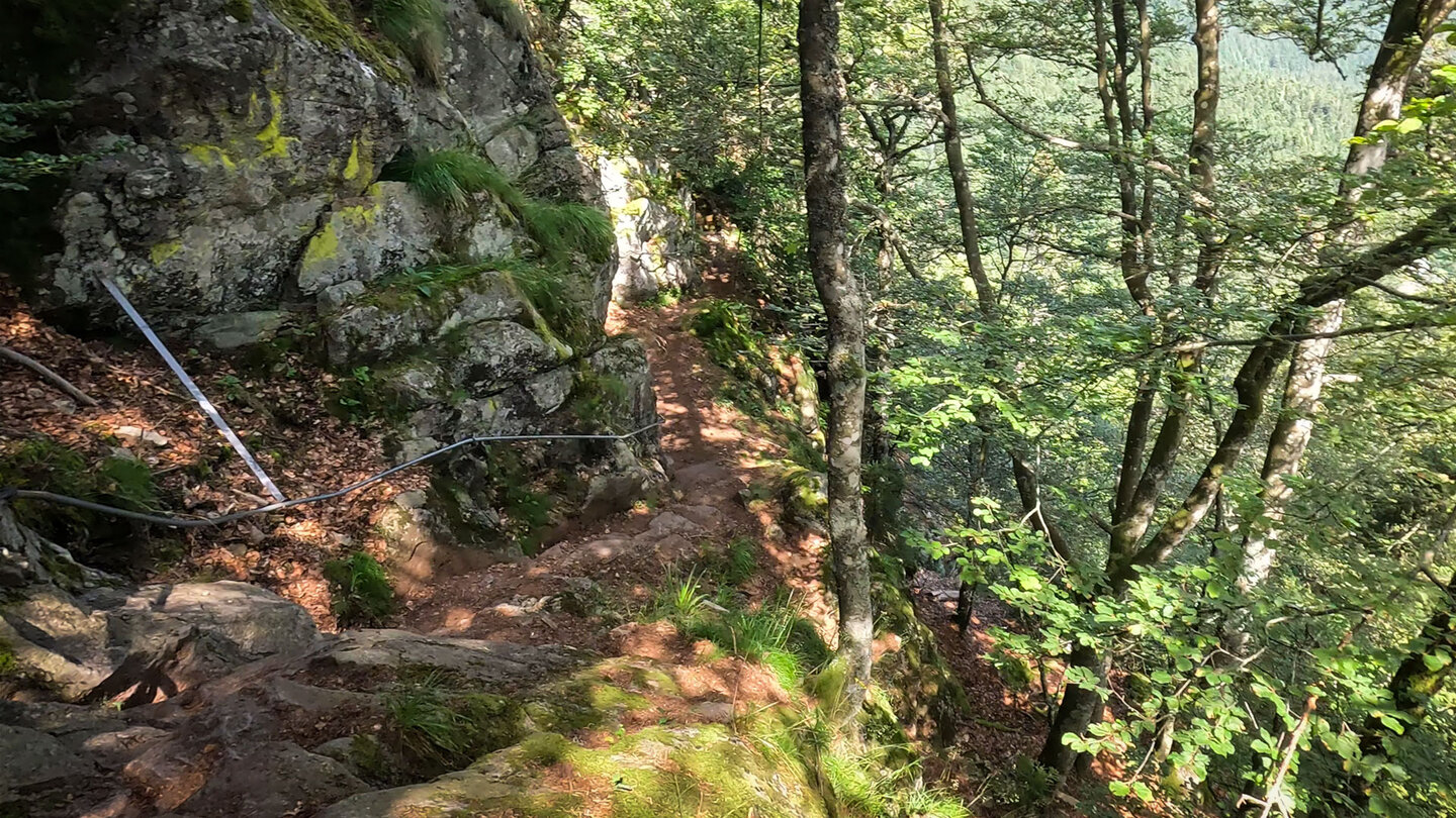 Sentier des Hirschsteine Sentier des Hirschsteine