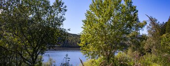 Ufer der Schwarzenbach-Talsperre