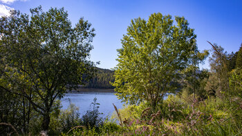 Ufer der Schwarzenbach-Talsperre