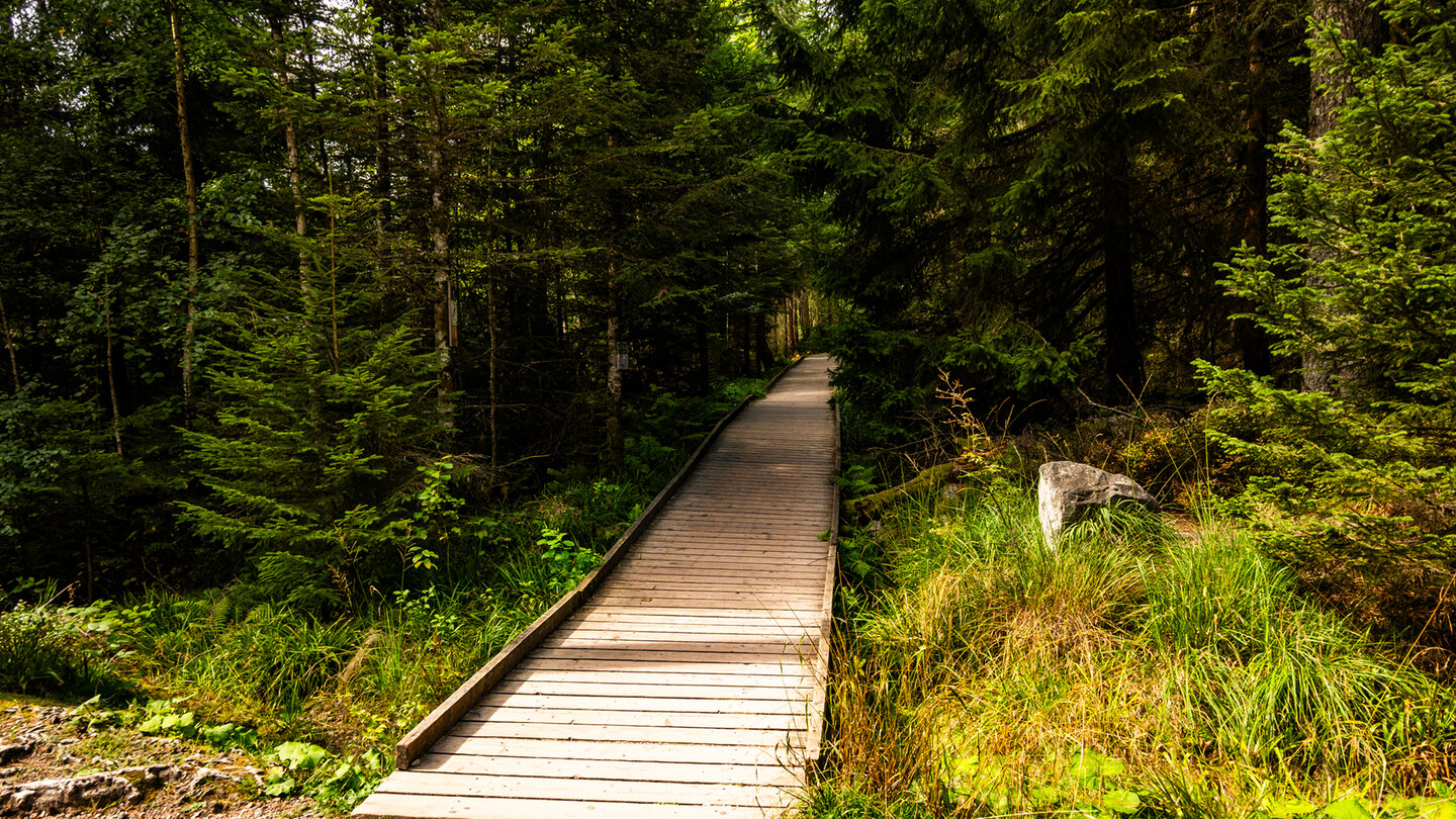 Bohlenweg im Wildseemoor bei Kaltenbronn