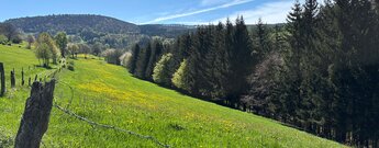 Aussicht vom Ehrengrundgraben zur Hohen Hölle