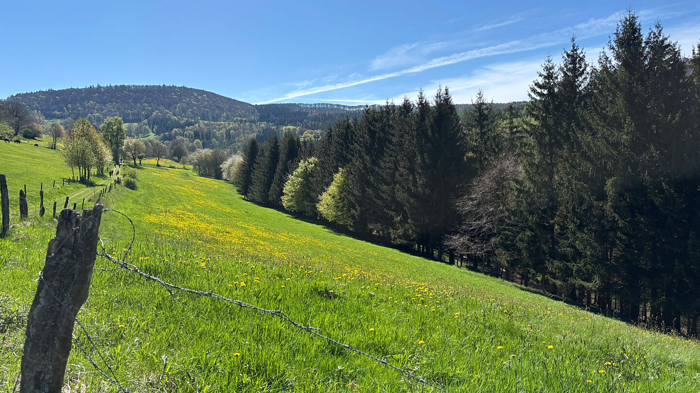Aussicht vom Ehrengrundgraben zur Hohen Hölle Aussicht vom Ehrengrundgraben zur Hohen Hölle