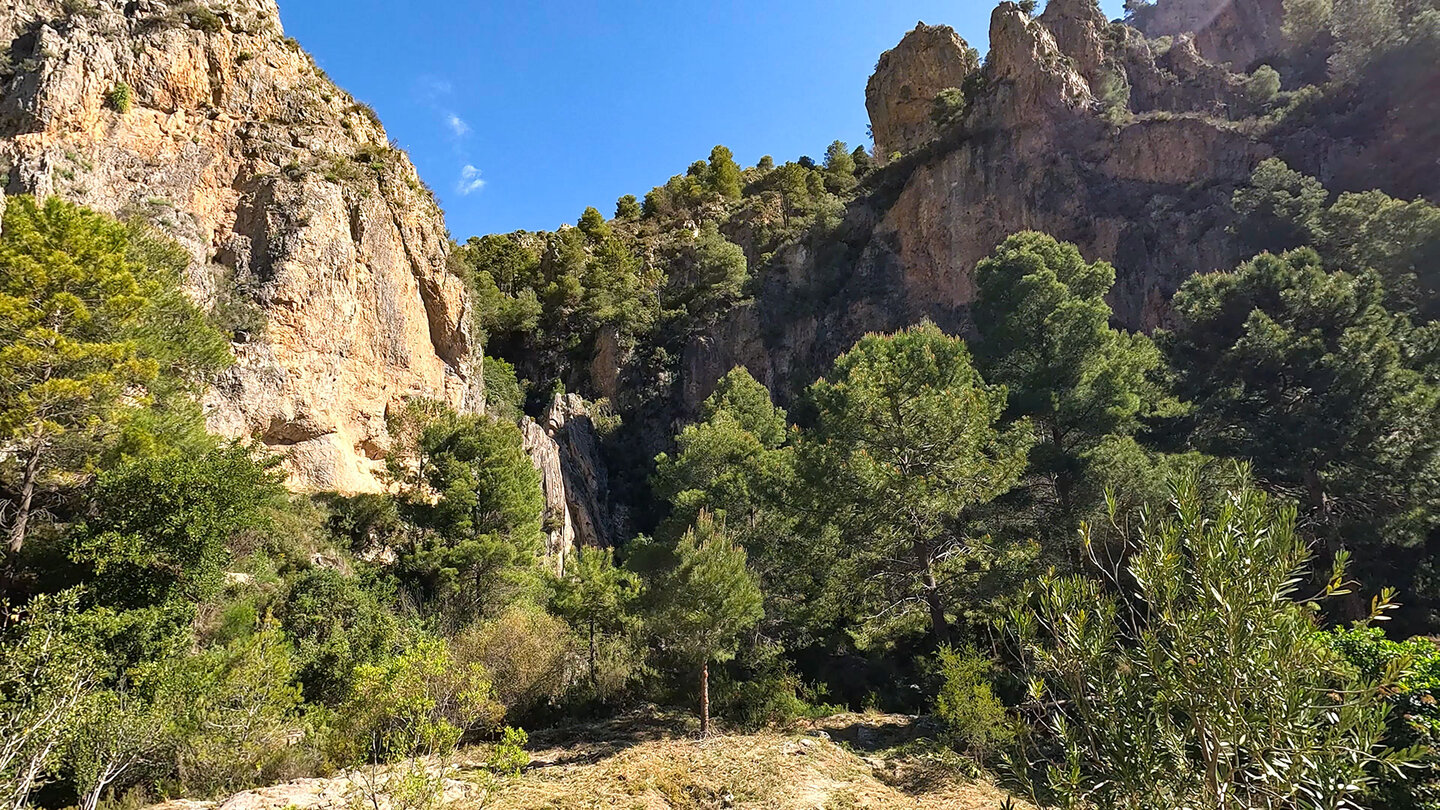 Cascada de los Arboles Petrificados - versteinerte Baumstämme bei Wasserfall und Höhle Cascada de los Arboles Petrificados - versteinerte Baumstämme bei Wasserfall und Höhle