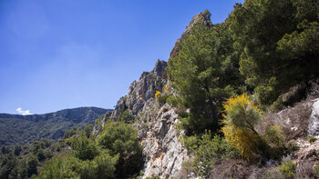 Wanderroute über der Schlucht Barranco de las Chorreras
